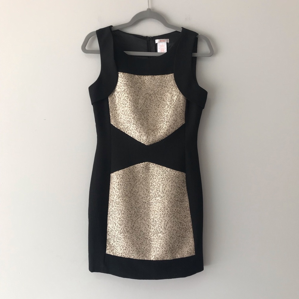 Esley Black/Gold Paneled Sheath Dress
